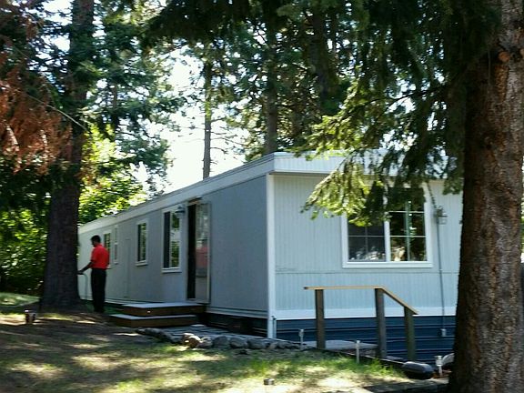 house wrapped in 150 ft pine