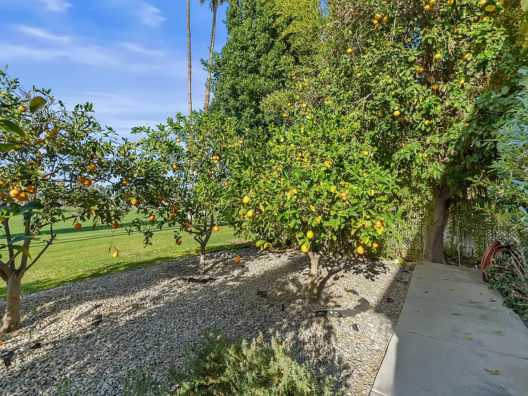 1350 E Murray Canyon Dr — Photo 78