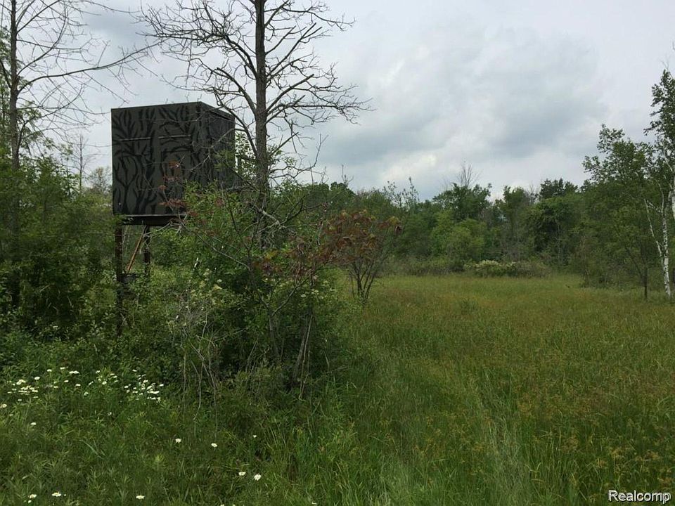 6350 Wolf Rd, photo 26