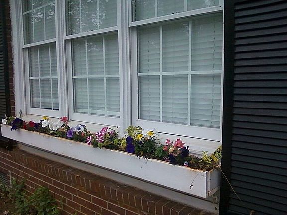 Window Box