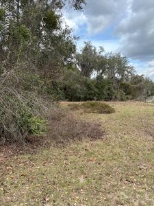 220 OAK RIDGE Drive, Welaka, FL, 32193