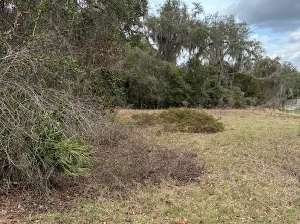 220 OAK RIDGE Drive, Welaka, FL 32193