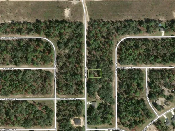 6719 N Varsity Ave, Citrus Springs, FL 34434
