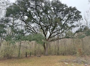 0 Freddie Whiddon Rd, Webb, AL 36376