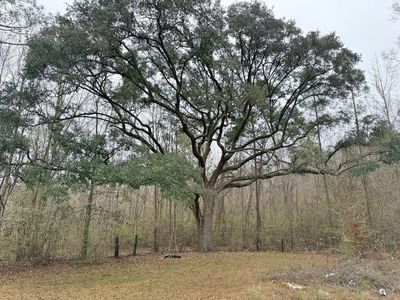 0 Freddie Whiddon Rd, Webb, AL, 36376