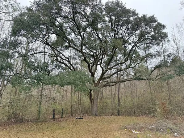 0 Freddie Whiddon Rd, Webb, AL 36376