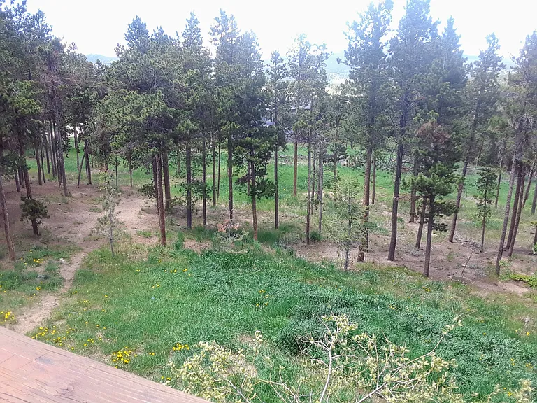 Large, fenced back yard