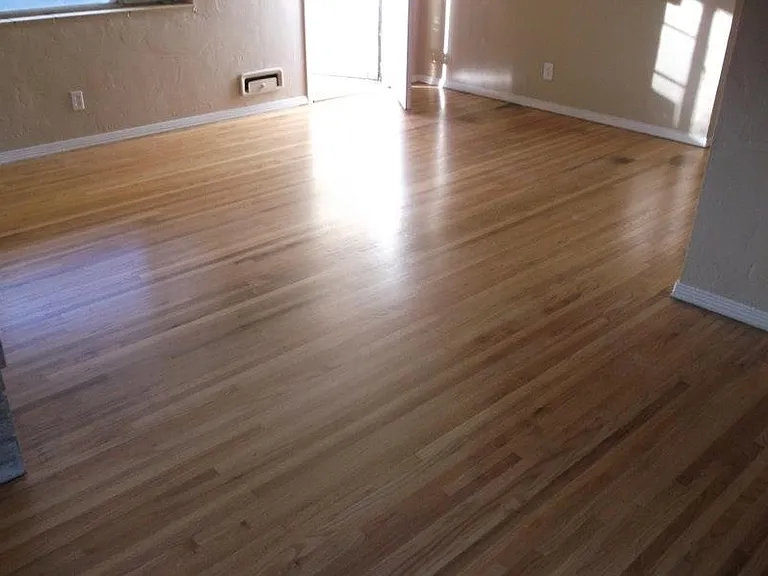 305 Crestone Ave — Photo 11