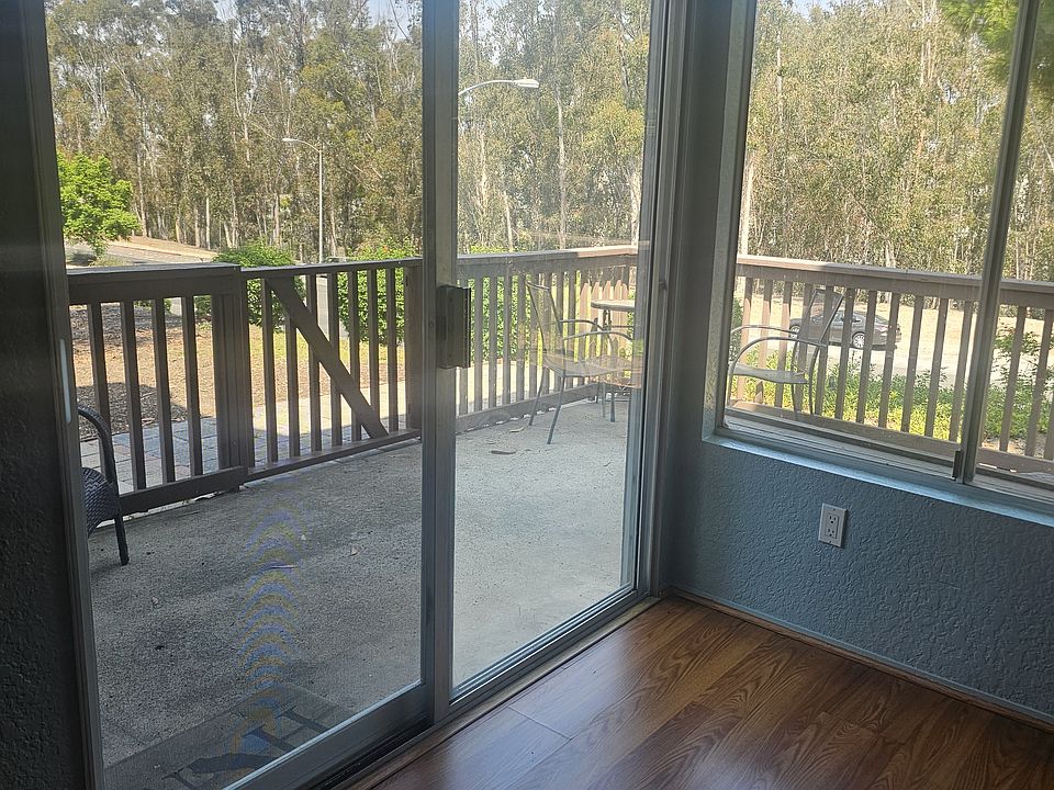 View out to backyard from main room