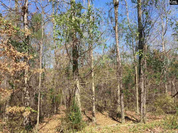 0 Mule Trl, Gilbert, SC 29054