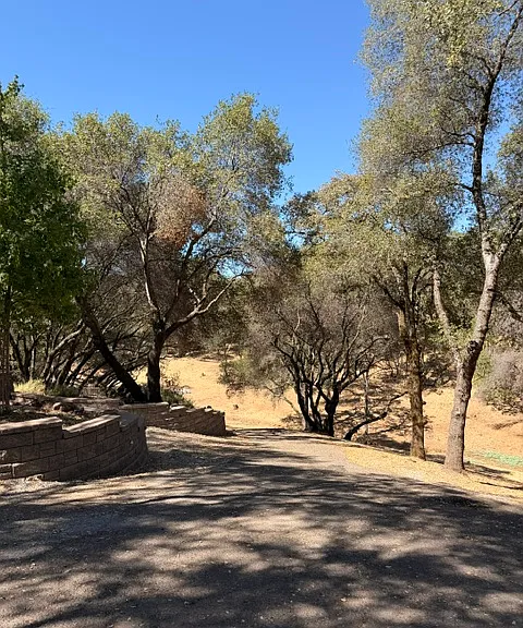 2330 Double O Mine Trl — Photo 60