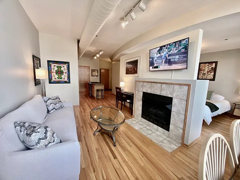 910 S Michigan Ave #1308 — Photo 9