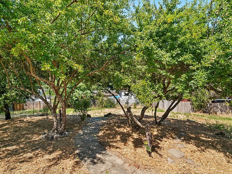 205 Apple Knl — Photo 36