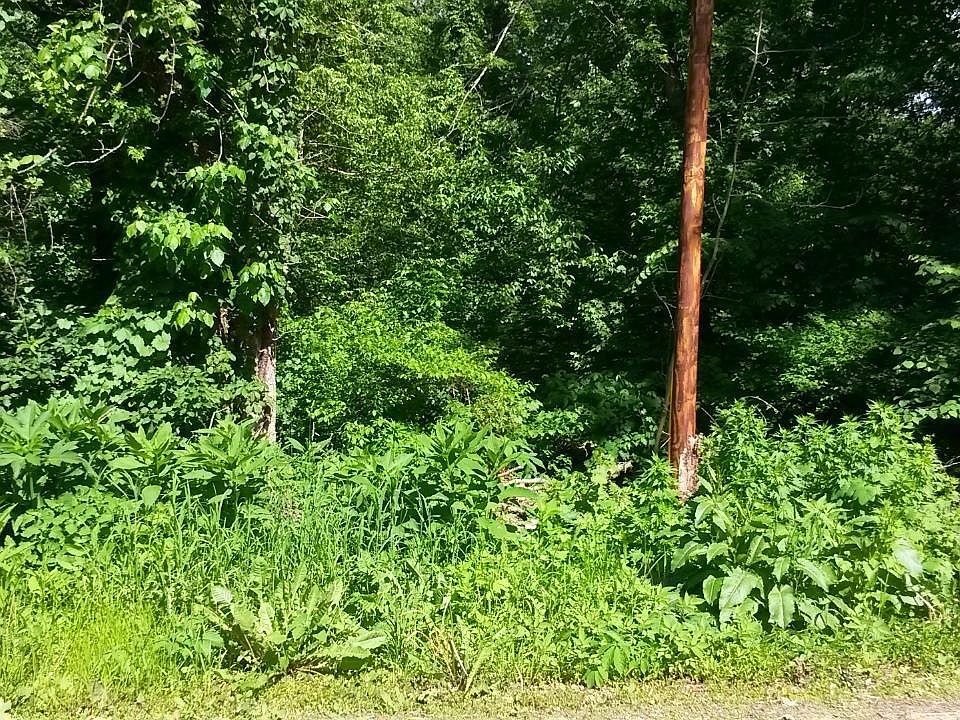 2nd image of 8175 Kephart Ln