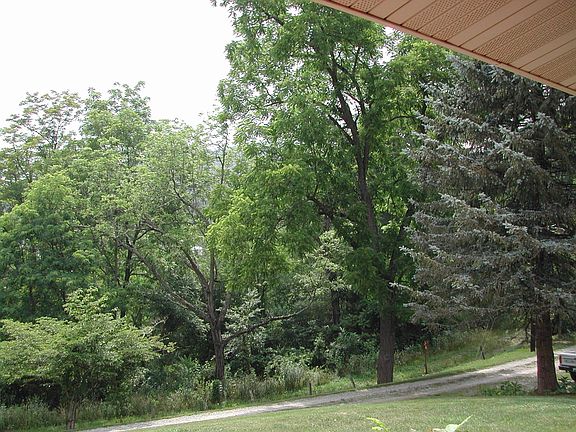 View front porch - right