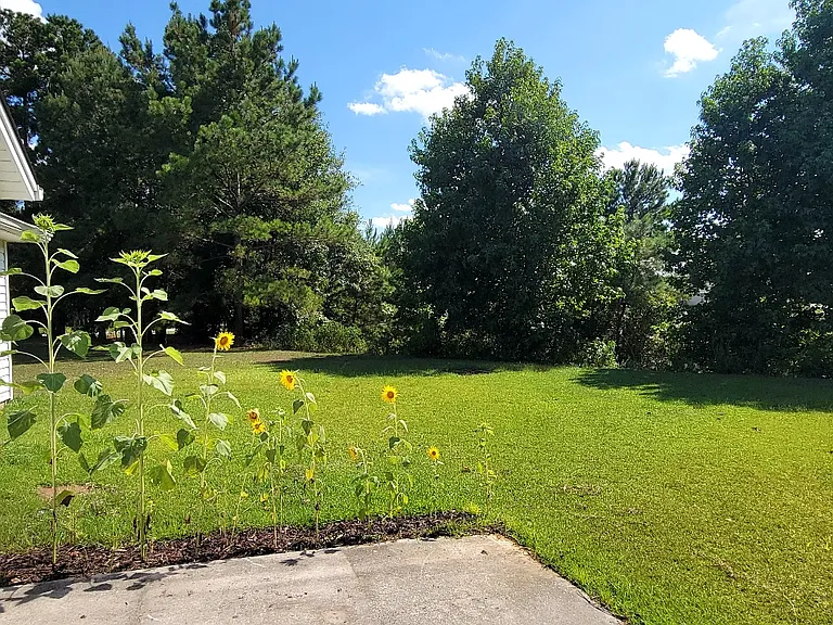 435 Creekside Cir — Photo 14