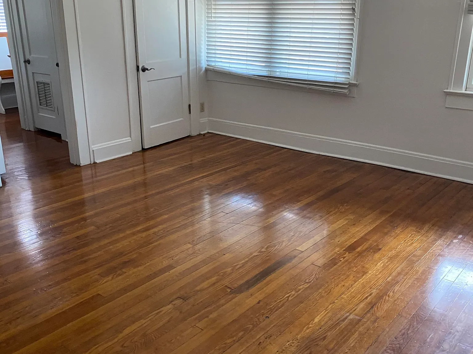 Studio, 1.0 bath, 500 sqft, $1,100 — Photo 1
