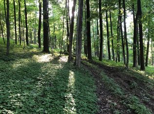 Narrows Rd, Frazeysburg, OH 43822