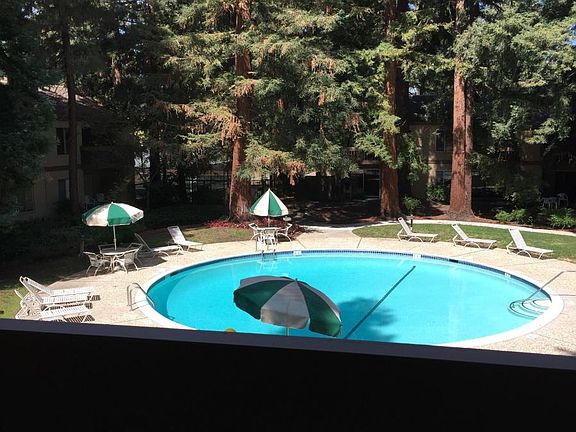 View from the deck
