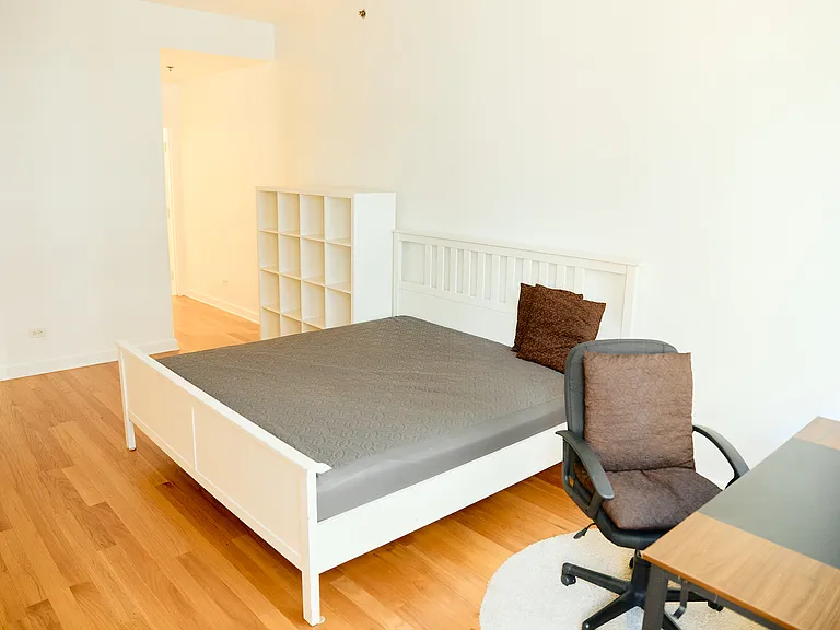 5 N Wabash Ave #1303 — Photo 13