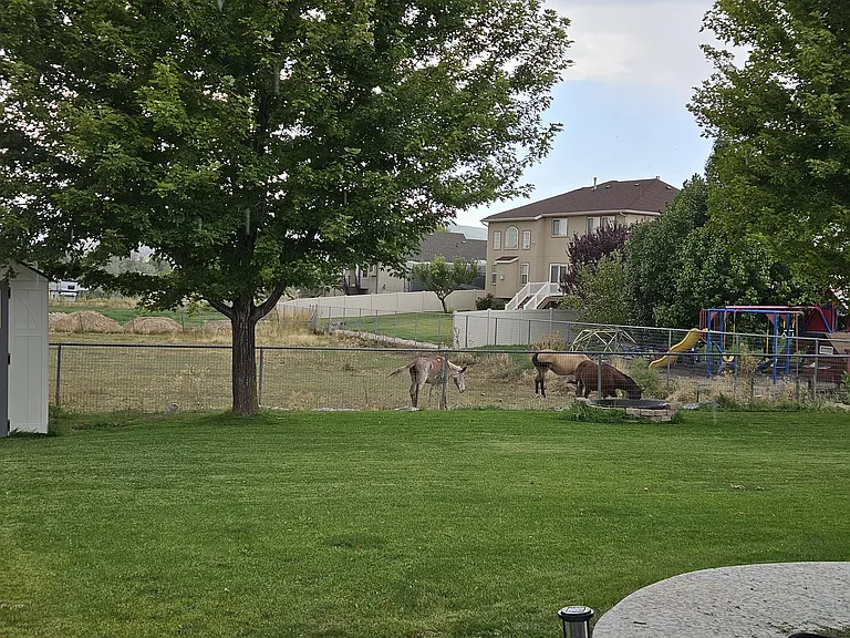 1879 W Colony Pointe Dr — Photo 37