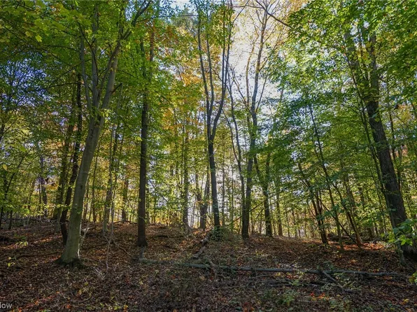 8662 Porter Run Rd, Roseville, OH 43777