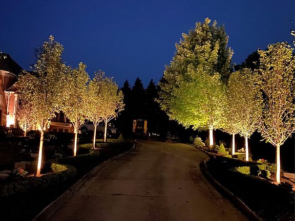 3rd image of 5165 Abbey Rd