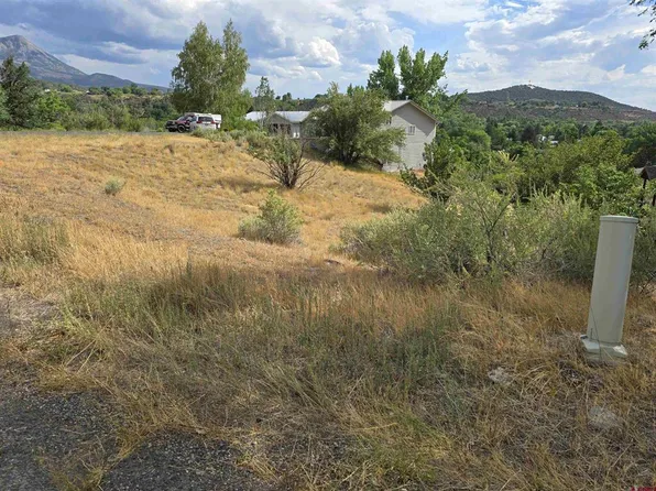 36 Box Elder Drive, Paonia, CO 81428