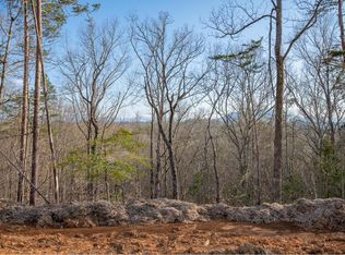 165 Reedmont Way LOT 165, Sevierville, TN 37876
