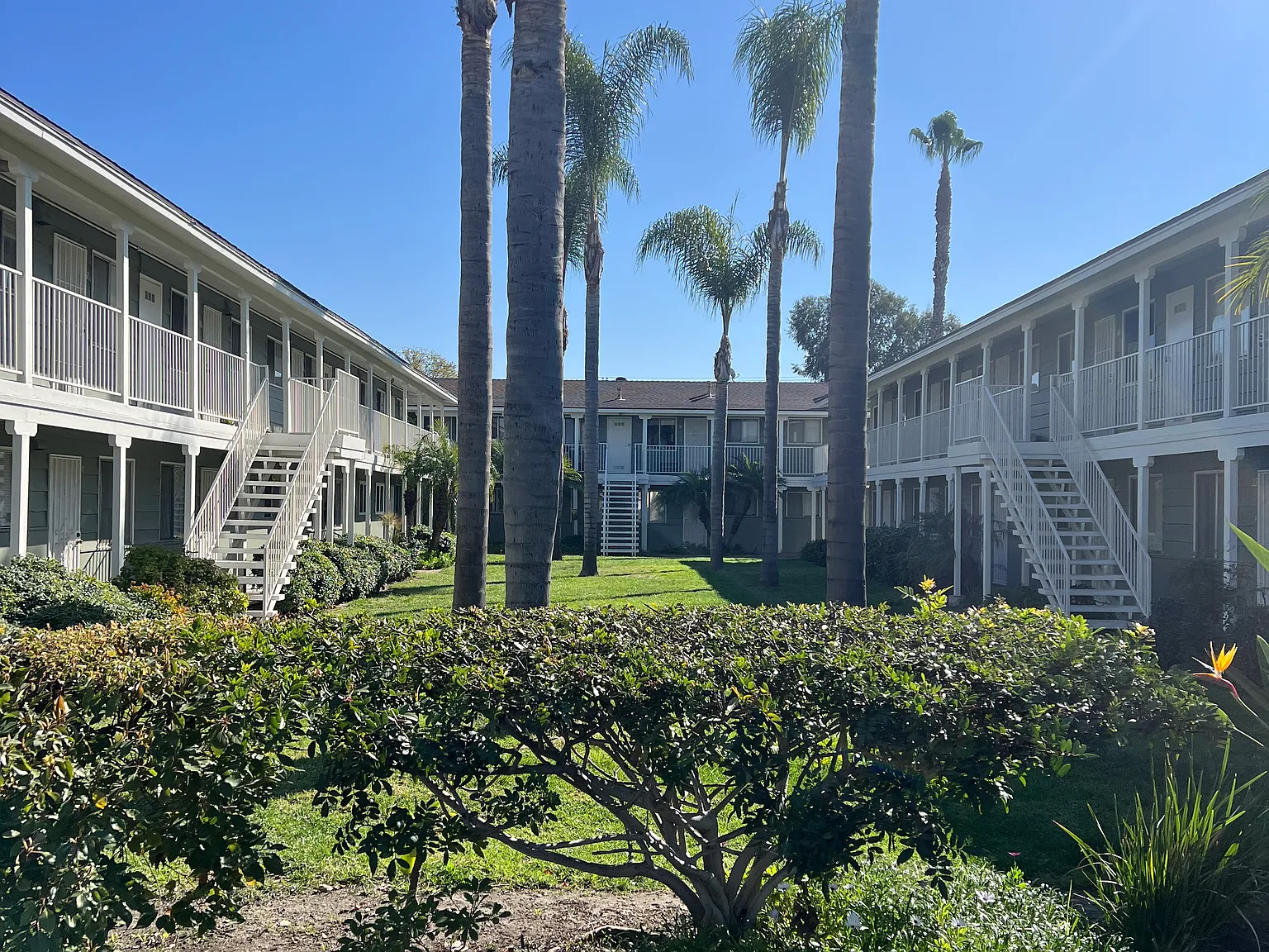 Del Pacifico — Photo 2