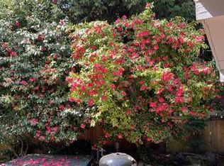 10013 NE 17th St, Bellevue, WA 98004