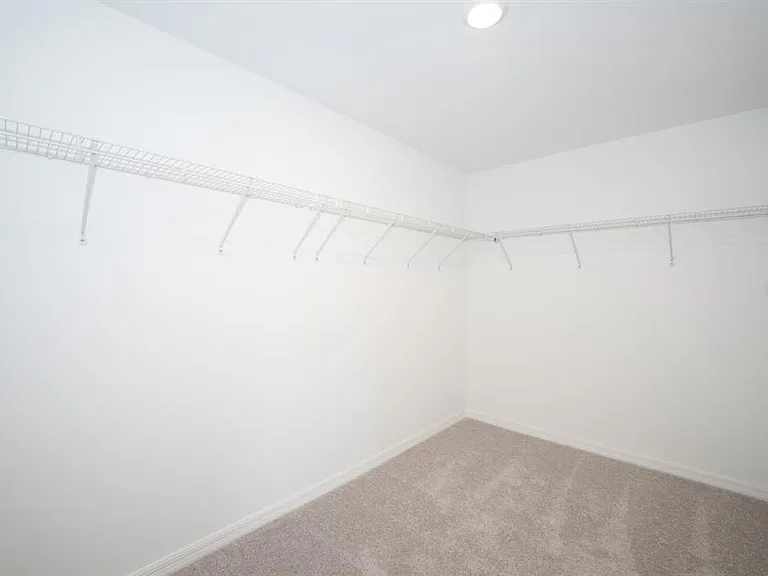 22430 Blazing Star — Photo 14