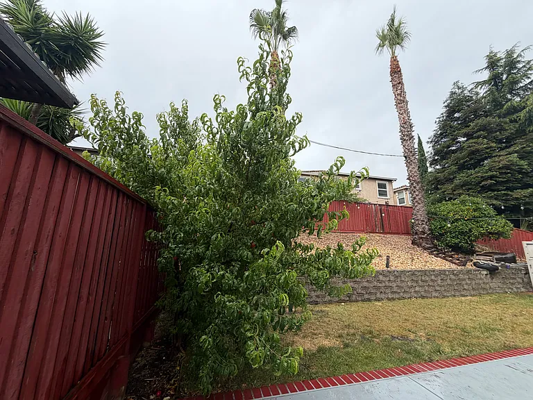 1237 San Benito Dr — Photo 18