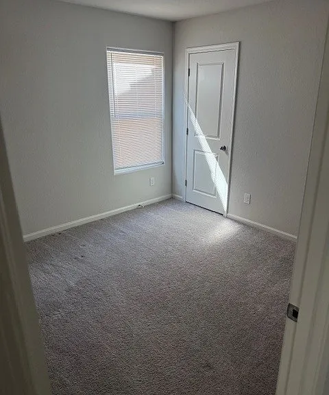 2413 Village Dr — Photo 8