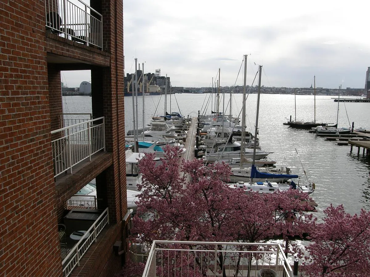 1 bed, 1.5 bath, 1040 sqft, $2,900 — Photo 1