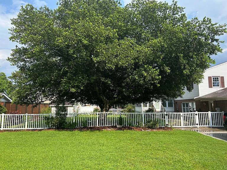 4904 Leatherneck Rd — Photo 3