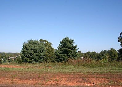 lot 16