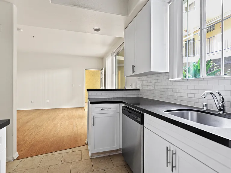 Kitchen with Large-Size Sink and Dishwasher