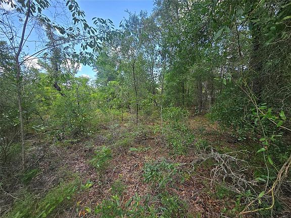 5th image of 8365 N IBSEN DRIVE LOT 1