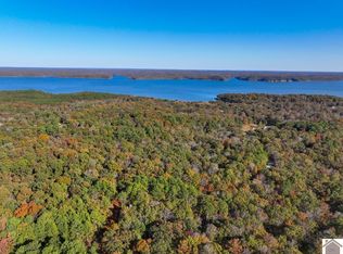 0 Jennings Trl, New Concord, KY 42076