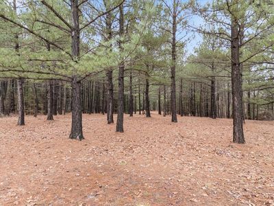 Kintyre Dr #1, Bella Vista, AR, 72715