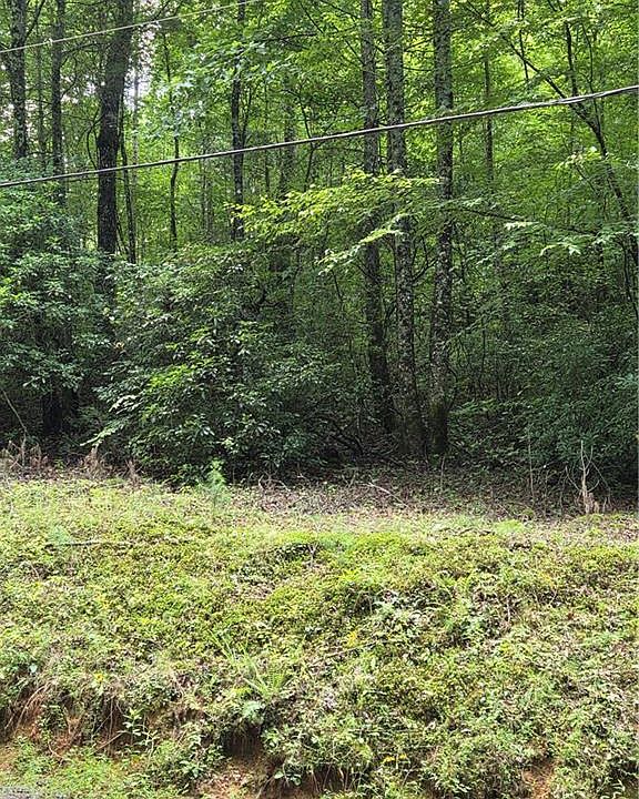 1st image of 0 Chopped Oak Rd #167