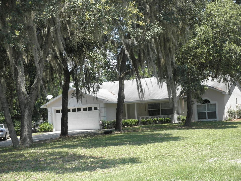 Many shade trees