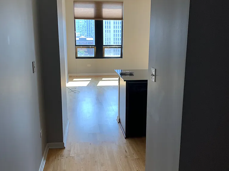 1255 S State St #1909 — Photo 11