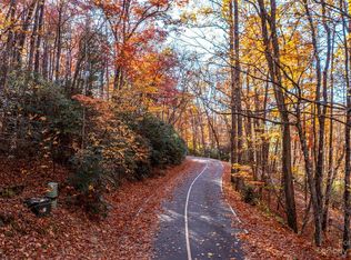 86 W Christy Trl, Sapphire, NC 28774