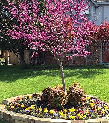 FLOWERS-FLOWERS-FOWERS