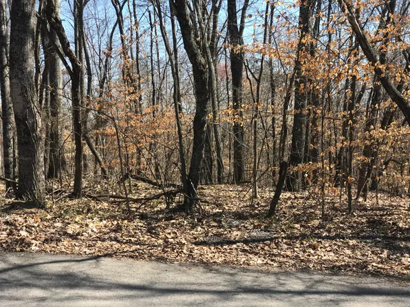 0 Clint Williams Rd, Rutledge, TN 37861