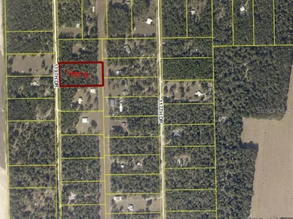 Leg Suwanee Woodland Lot 20, O'Brien, FL 32071