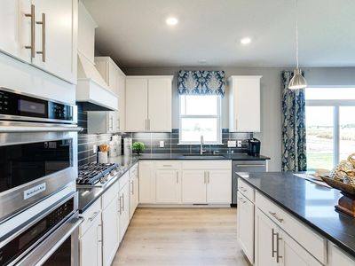 13119 Arbor Path, Rosemount, MN, 55068