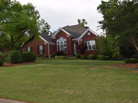Gorgeous Sprawling Trees